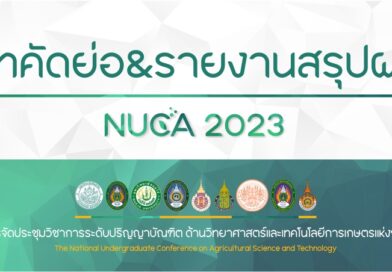 บทคัดย่อ &รายงานสรุปผล